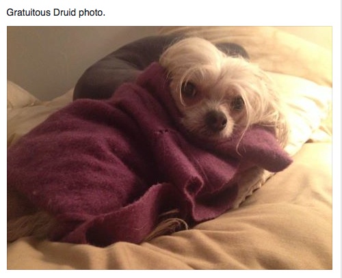 Screen Shot 2016-12-03 at 10.28.31 AM copy.jpg